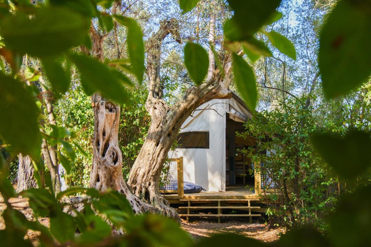 Le Beau Vezé Hotel Carqueiranne Kültér fotó